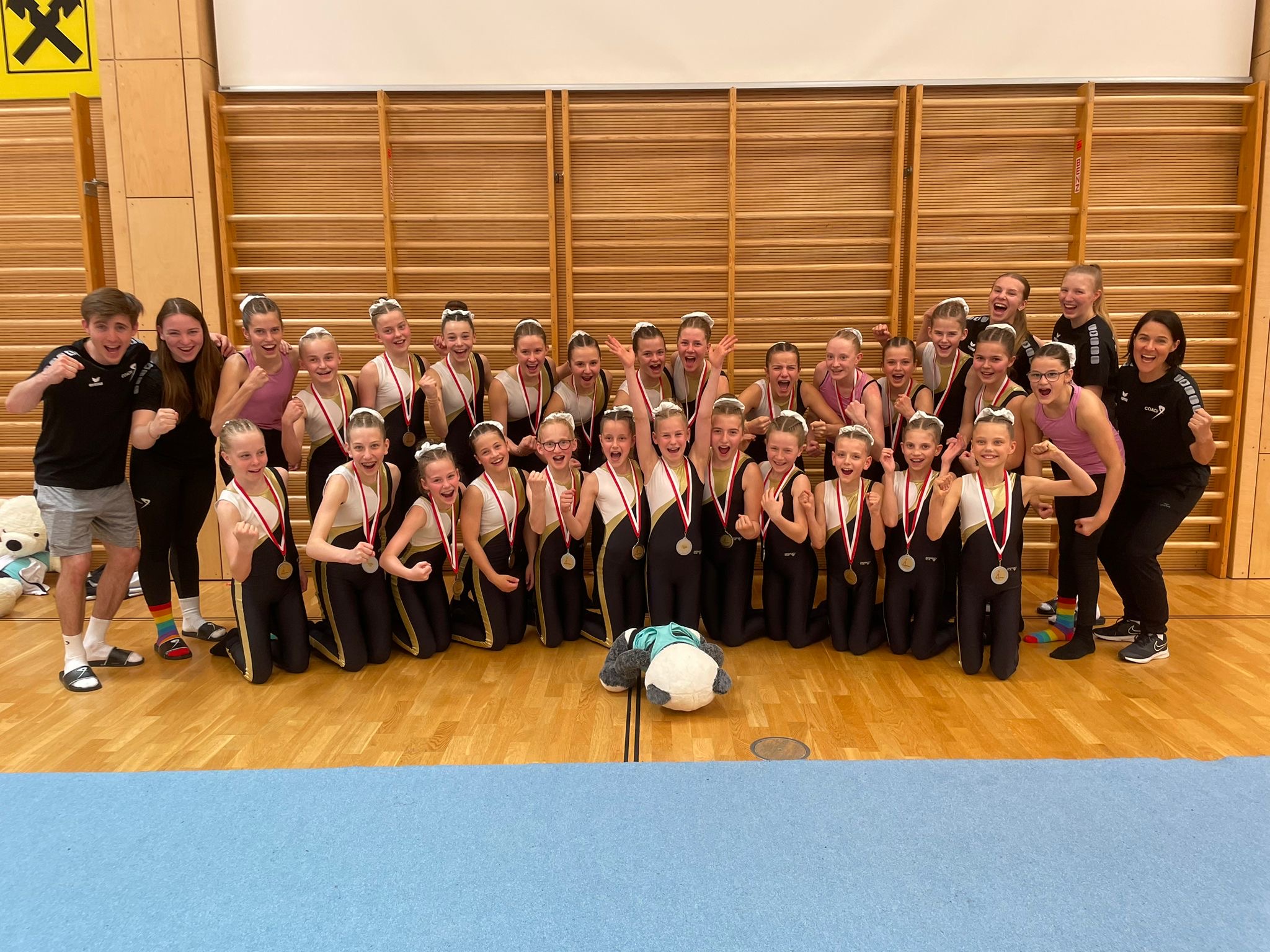 Teamgym Competition 2024 1